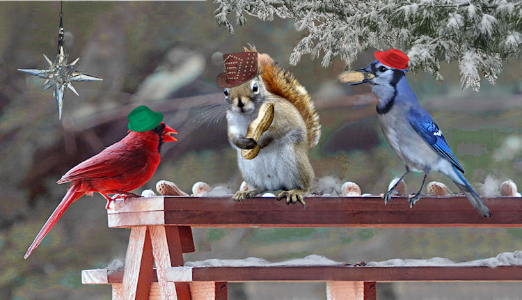 Holiday Critters, graphic ©2024, Ipbar Productions, all rights reserved.